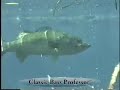 Fishing Lure Tips - Large Stickbait Fishing Lure Tips - Large Stickbait