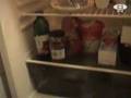 OTV Cribs Leine