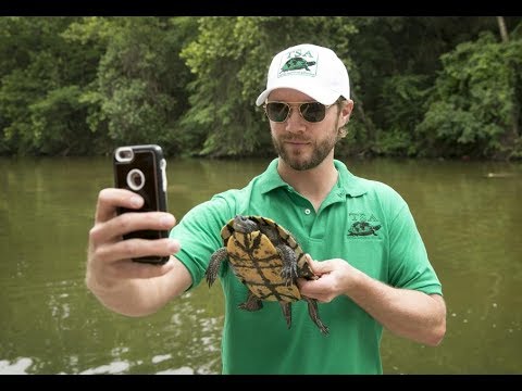 YouTube reptile video