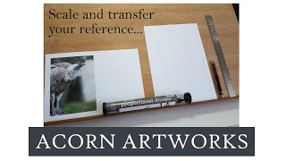 Acorn Artworks - 3 ways to Scale and Transfer your reference to your project