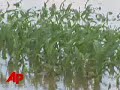 Levee Breaks Add to Midwest Flood Problems