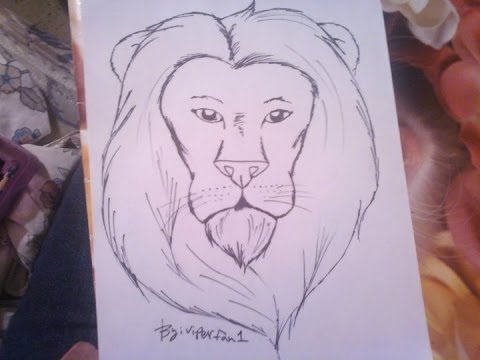 how to draw the face of a lion