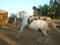PRIVILEGE. KATYY.loveehorsess.MARINAA PRIVILEGE. KATYY.loveehorsess.MARINAA
