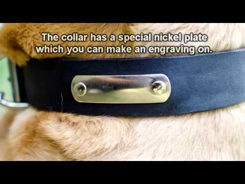 how to attach id tag to collar