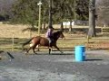 bareback jumping on stratford: long spot