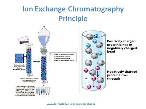 how to perform ion exchange chromatography
