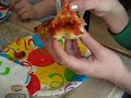 PIZZA PIZZA