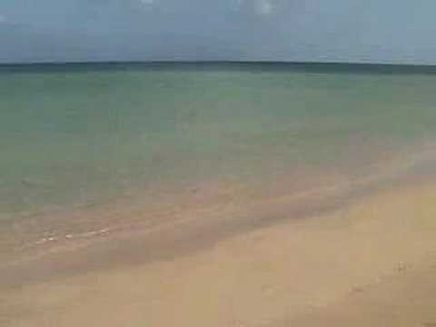 Canary Islands
