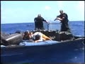 Stopping the Bad Guys Coast Guard Video Stopping the Bad Guys Coast Guard Video
