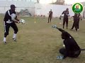 تمارين مدرب الحراس السعودي سليمان العيسى 35.wmv