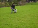 Der Max spielt jetzt auch Frisbee :)