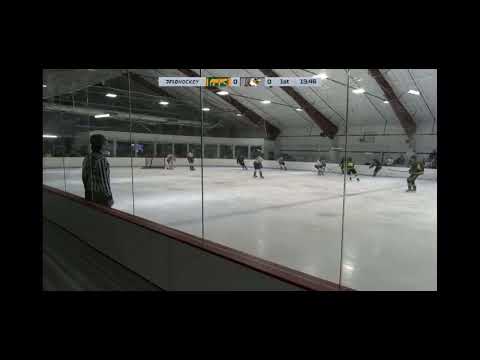 Gianni Annicchiarico #85 green, Full shift, wrist shot commentary, USPHL Playoffs, Chicago Cougars 2025