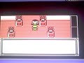 pokemon red last battle