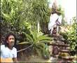 reggae lagu bali ne seken2 lagu bali ne be ye