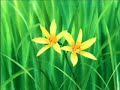 Onegai Teacher ( folge 2)  Nr.2)