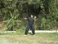 Free Lesson: 5. Slant Flying- Wu Tai Chi