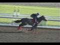 who do you like...Santa Anita Derby 2009