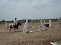 Jumping Sophie