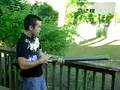 Potato Gun 2