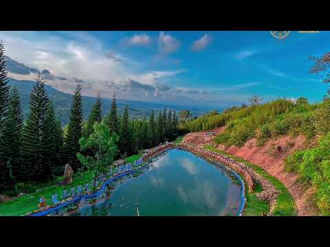 Thiền Hành NIKAYA - Tâm Thoát Ra *