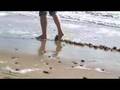 Sandline