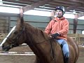 Stanley Bareback #2 Stanley Bareback #2