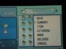 NeoSeeker Pokemon D/P Giveaway NeoSeeker Pokemon D/P Giveaway