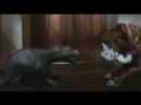 Water Horse: Legend of the Deep [Blu-ray] Trailer