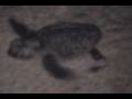 videos de In The Middle Of The Night.wmv