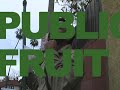 SUSTAINING L.A - Night Forage by Fallen Fruit