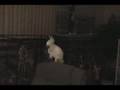 新着&人気動画 (12/14 02時)