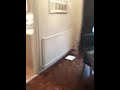 1st vid