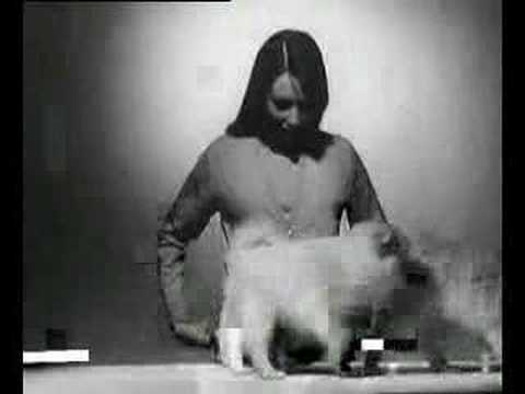 Image de prévisualisation YouTube