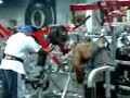 Back Workout