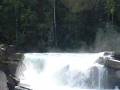 Vorschau Bild