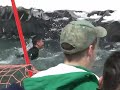 EXTREMEEE Heavenly Pond Skimming