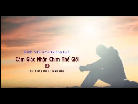 Kinh NIKAYA Giảng Giải - Cảm Giác Nhận Chìm Thế Giới 3