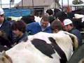 2008 Alta-California AI Class at CVC High School Part 3 of 9