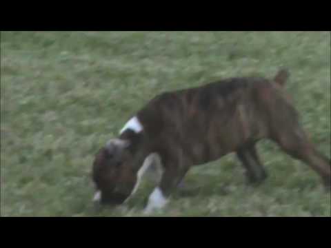 A video featuring Lexi