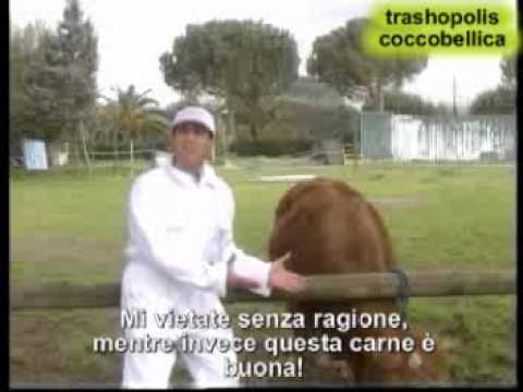 I Coccobelli e la mucca pazza