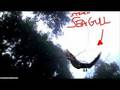 Wishmaster - The 'Lost' Lyrics (Full Version!)