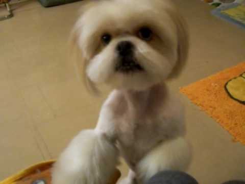 See video
