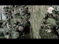 Body Painting Film