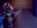 babyk�tzchen :D