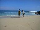 Homestay in Hawaii