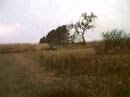 100cc-kawasaki-dirt-