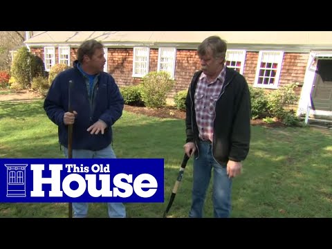 how to repair yard after dogs