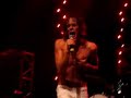 razorlight - los angeles waltz