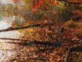 videos de Autumn  my  love