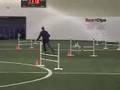 Jolie's First Agility Title! NADAC, Crystal Lake IL 4/7/07
